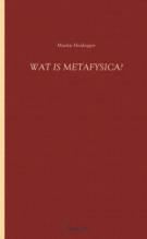 Wat is metafysica?